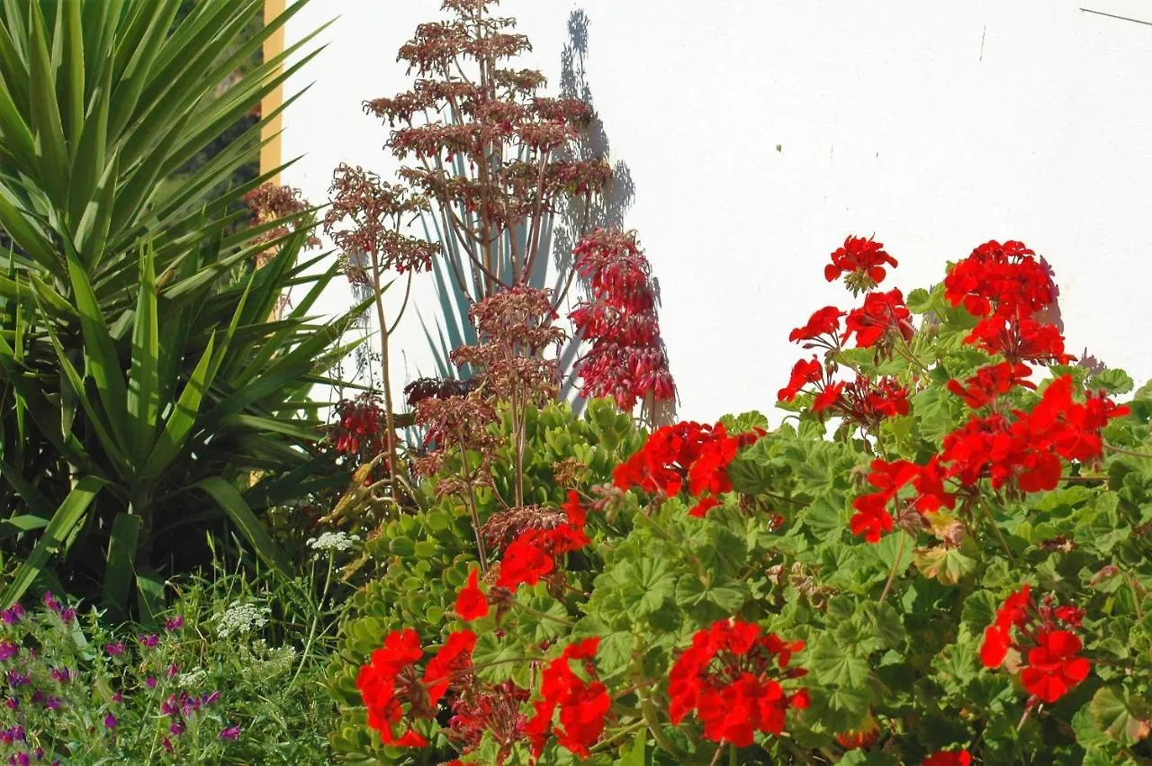 Oda ve Kahvaltı Jingtu Wellness & Spa B&B Comares