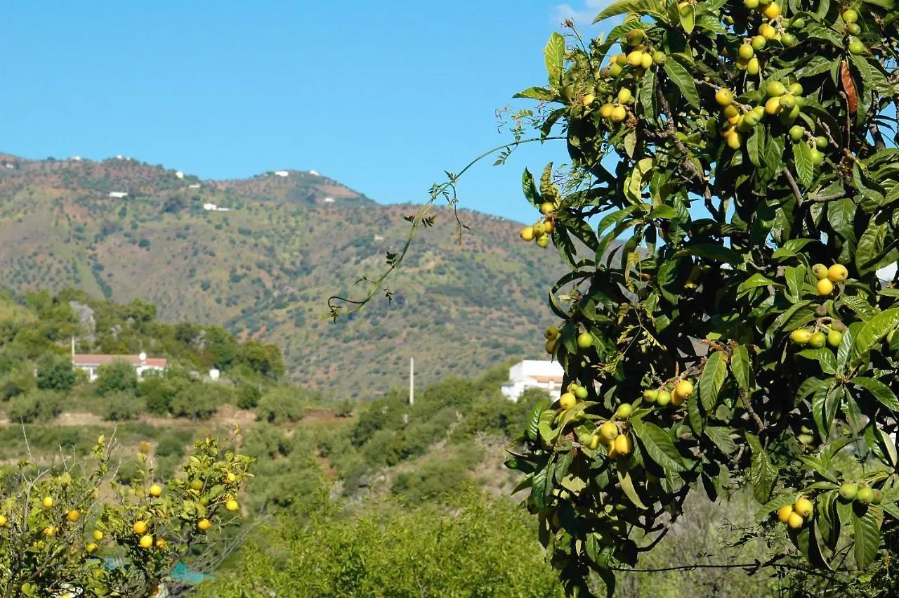 Jingtu Wellness & Spa B&B Comares 0*,